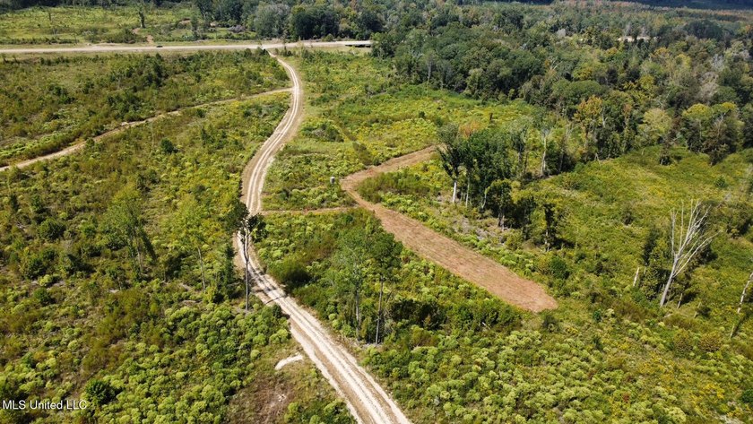 Tuscola Flats is a +/- 309 acre bottomland hunting tract located - photo 47