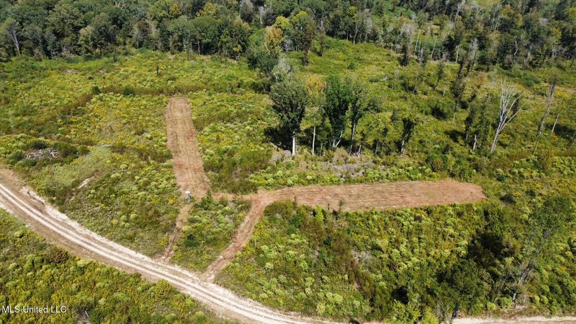 Tuscola Flats is a +/- 309 acre bottomland hunting tract located - photo 48