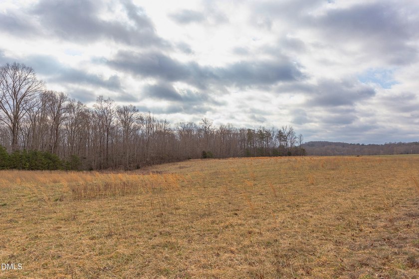 RIVERFRONT LAND overlooking DEEP CREEK! Build your Dream Home!! - photo 3