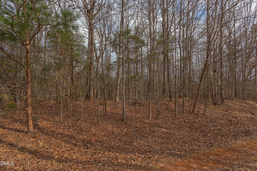 RIVERFRONT LAND overlooking DEEP CREEK! Build your Dream Home!! - photo 7