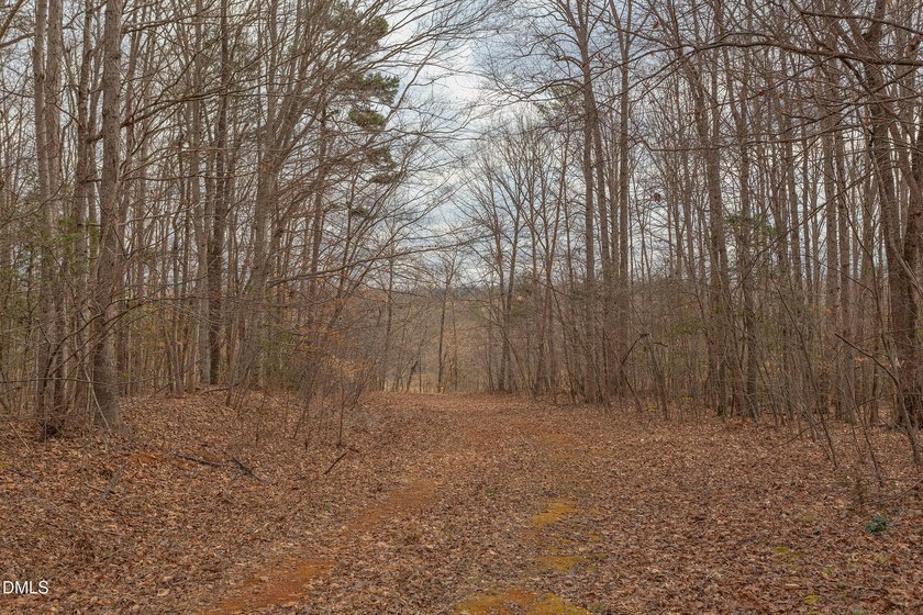 RIVERFRONT LAND overlooking DEEP CREEK! Build your Dream Home!! - photo 8