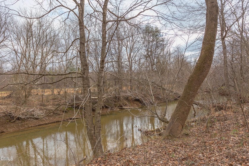 RIVERFRONT LAND overlooking DEEP CREEK! Build your Dream Home!! - photo 9
