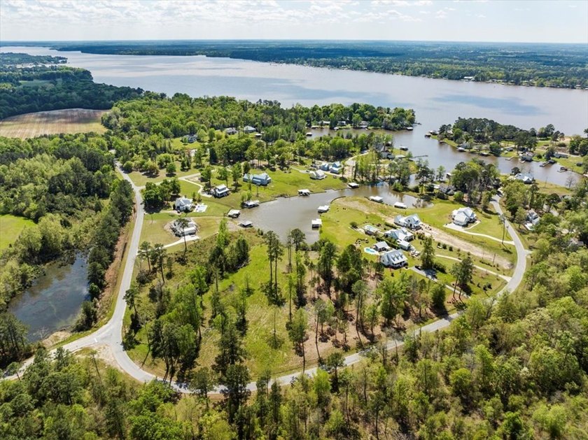 AMAZING, HUGE 2.59 ACRE CLEARED WATER FRONT LOT ON LAKE - photo 11