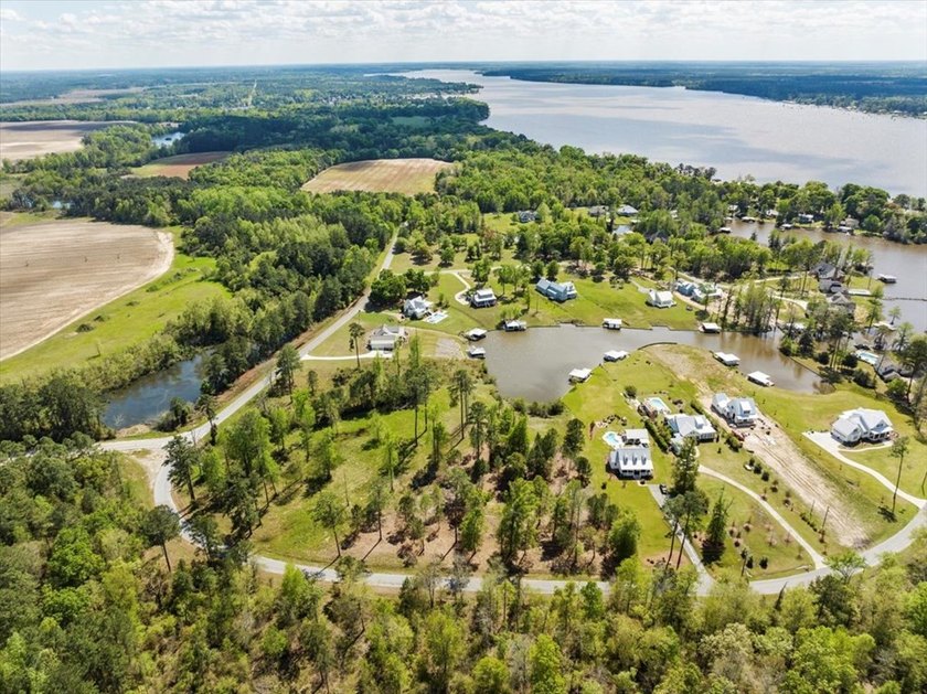 AWESOME WATER FRONT LOT ON LAKE BLACKSHEAR!!! Large 1.98 acre - photo 11