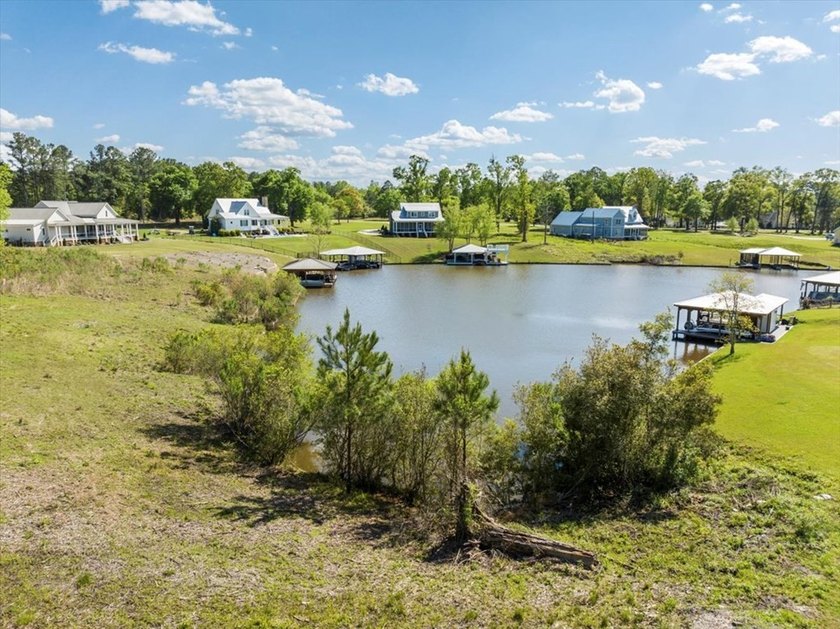 AWESOME WATER FRONT LOT ON LAKE BLACKSHEAR!!! Large 1.98 acre - photo 20