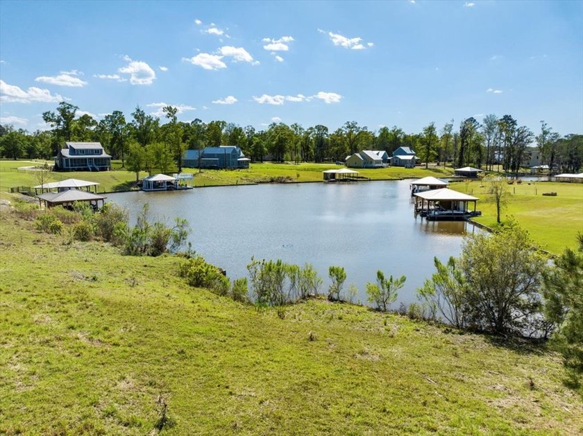 AWESOME WATER FRONT LOT ON LAKE BLACKSHEAR!!! Large 1.98 acre - photo 21
