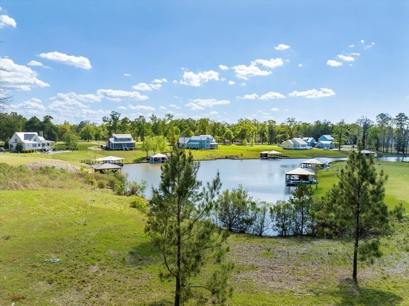 AWESOME WATER FRONT LOT ON LAKE BLACKSHEAR!!! Large 1.98 acre - photo 23
