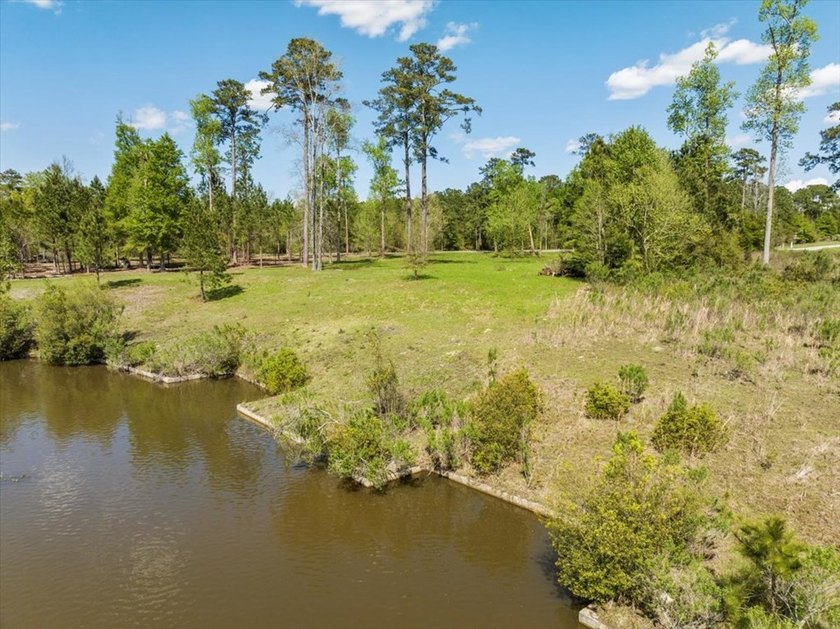AWESOME WATER FRONT LOT ON LAKE BLACKSHEAR!!! Large 1.98 acre - photo 27