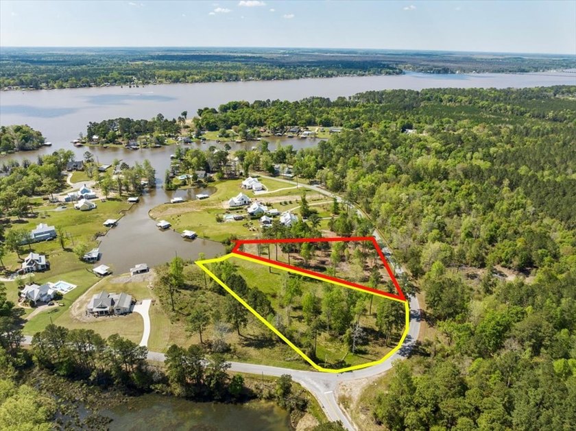AWESOME WATER FRONT LOT ON LAKE BLACKSHEAR!!! Large 1.98 acre - photo 29