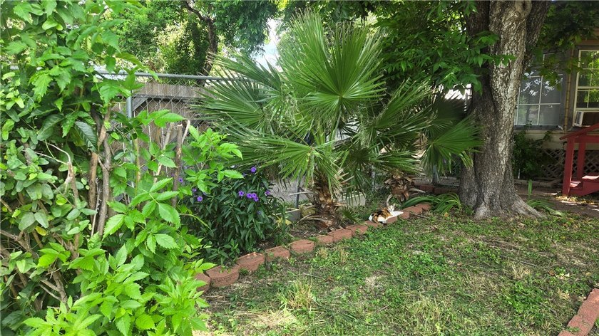 INVESTMENT OPPORTUNITY!! Main house is 4 Bedrooms and 1 Bath and - photo 4