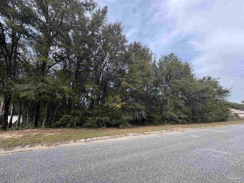 Great opportunity to build your dream home on this spacious - photo 4