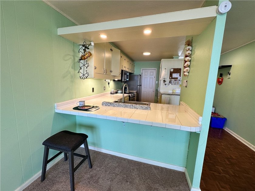 Check out this Million Dollar View in this roomy 1 bedroom, 1 - photo 6