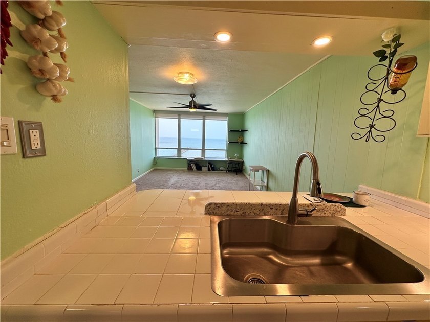 Check out this Million Dollar View in this roomy 1 bedroom, 1 - photo 8