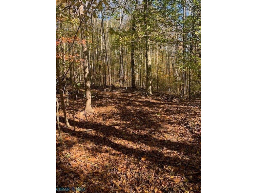 Great opportunity to own yourpiece of paradise within minutes of - photo 2