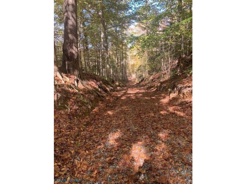 Great opportunity to own yourpiece of paradise within minutes of - photo 3