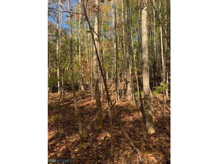 Great opportunity to own yourpiece of paradise within minutes of - photo 4
