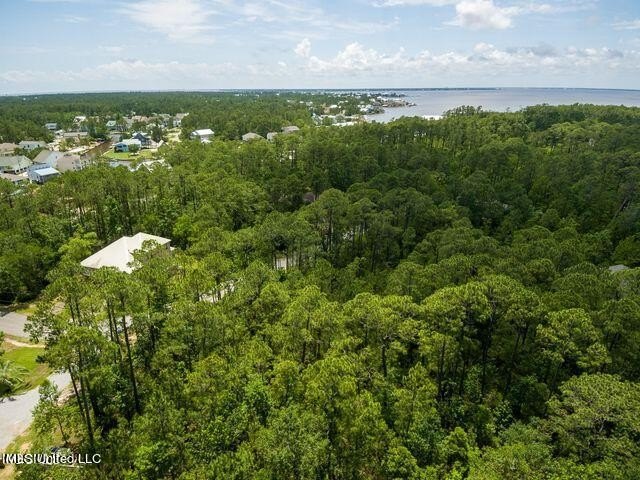 Good Building Lot Timber Ridge. Located in an AE Flood Zone - photo 12