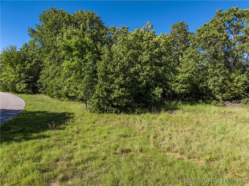 Great Building Lot in Indian Rock Estates overlooking 2 Fairways - photo 6