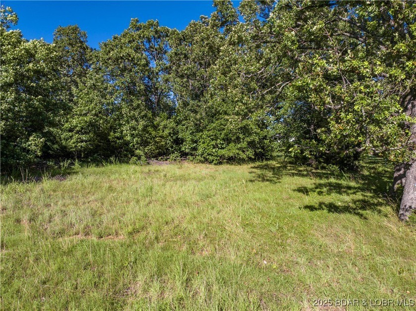 Great Building Lot in Indian Rock Estates overlooking 2 Fairways - photo 8