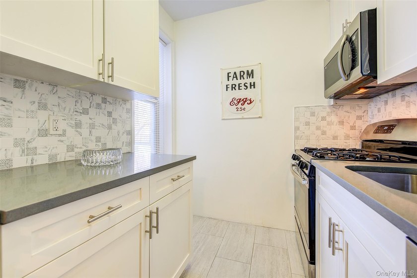 WELCOME TO FOREST HILLS SOUTH. DELUXE STUDIO APARTMENT. Very - photo 17