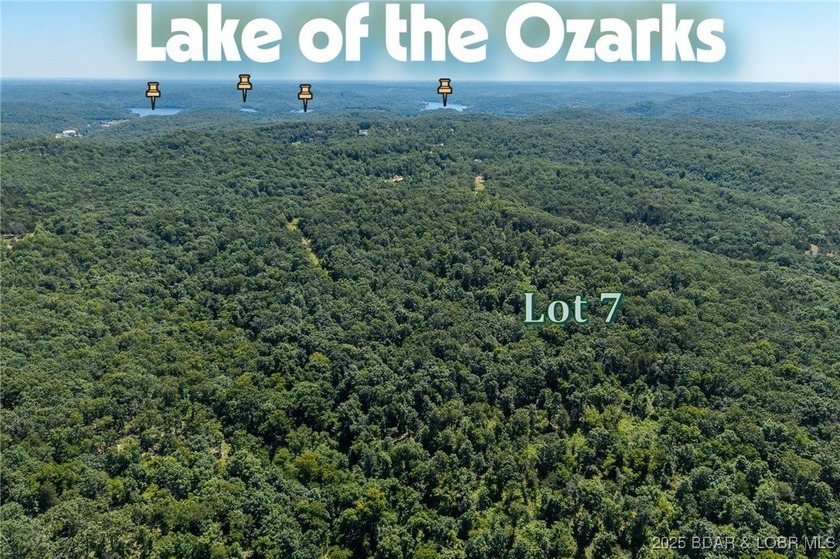 Lot 7 consist of 3.5 acres and sits at the end of a cul-de-sac - photo 2