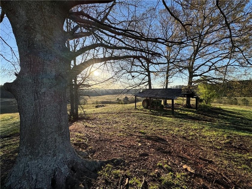 Bring your cows and horses! Have the benefit of a beautiful - photo 6