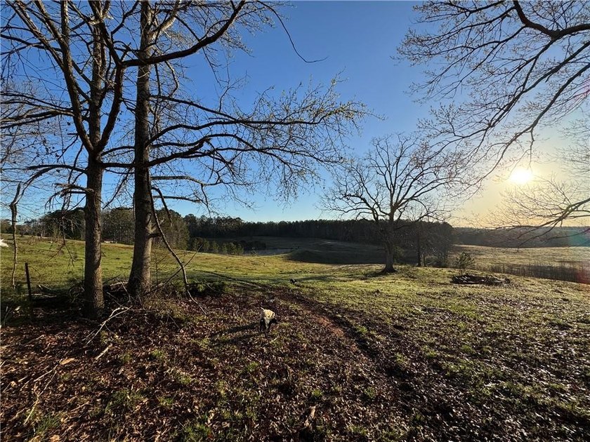 Bring your cows and horses! Have the benefit of a beautiful - photo 8