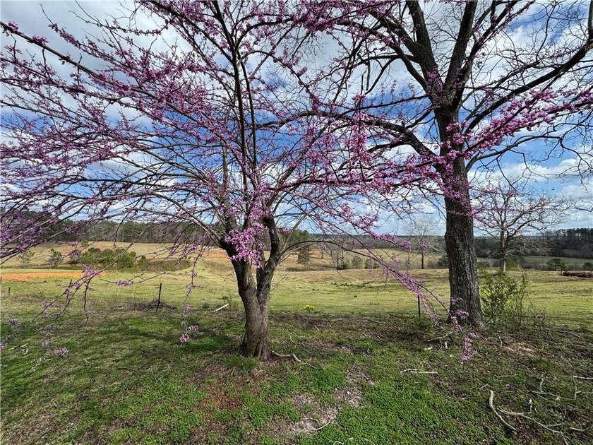Bring your cows and horses! Have the benefit of a beautiful - photo 9
