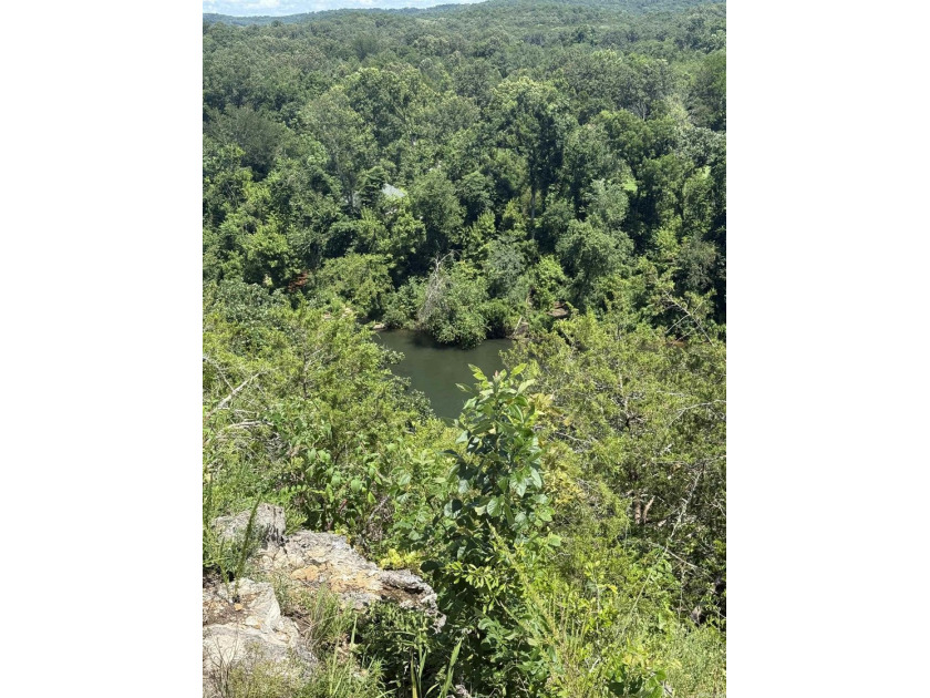 Prime building lot (Lot 29) overlooking the Norfork river, city - photo 11