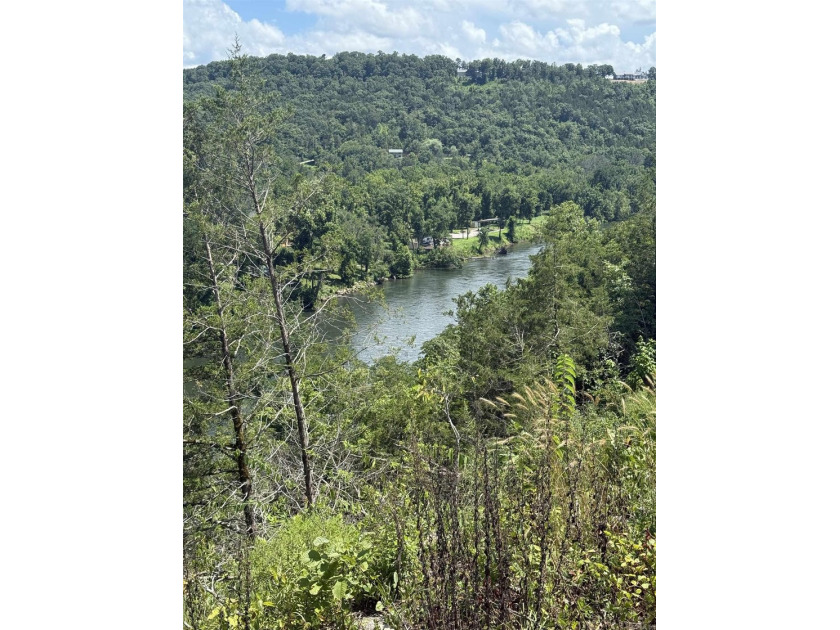 Prime building lot (Lot 29) overlooking the Norfork river, city - photo 12