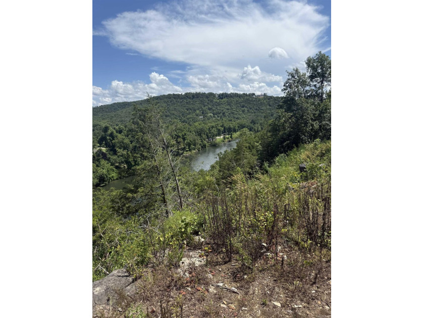 Prime building lot (Lot 29) overlooking the Norfork river, city - photo 13