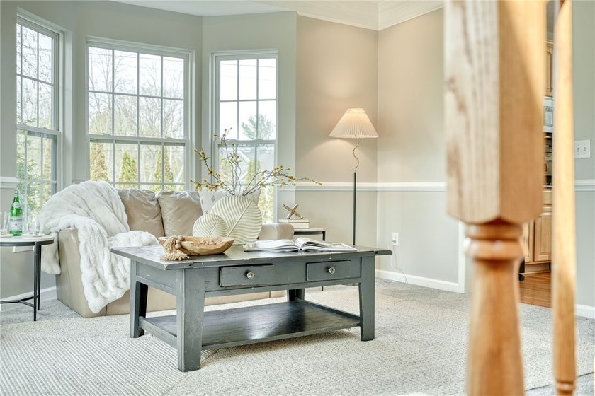 LIGHT! VOLUME! OPEN SPACE! Stunning Webster, NY home with SCALE - photo 4