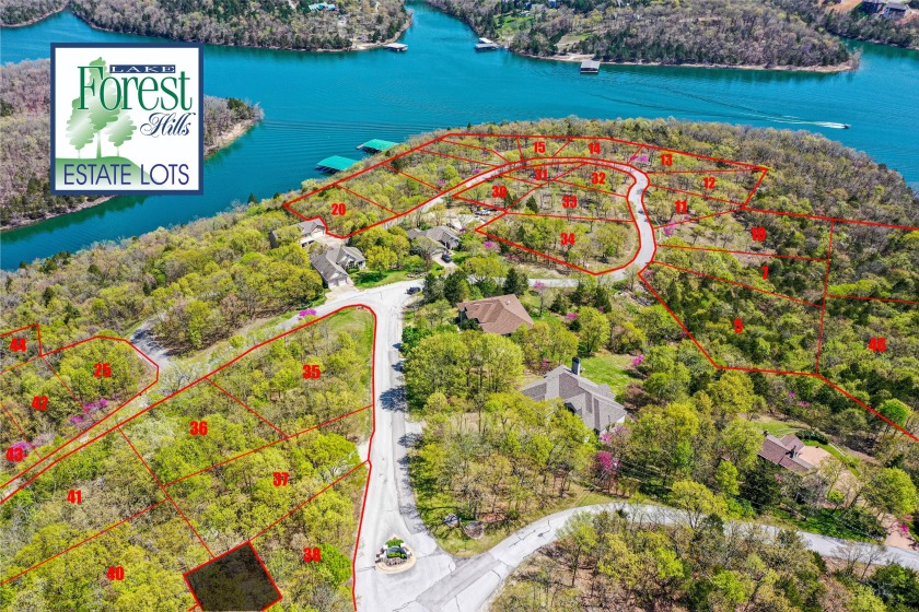 Lake Forest Hills at Table Rock Lake, Lots 35 &amp; 36 - photo 4