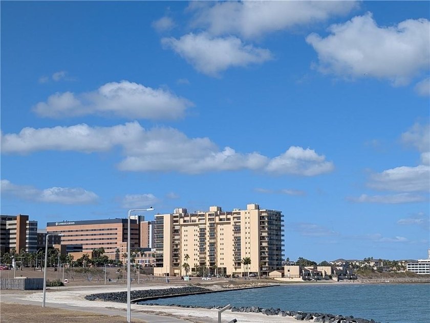 Discover waterfront living at Marina del Sol with Unit 1002C at - photo 3