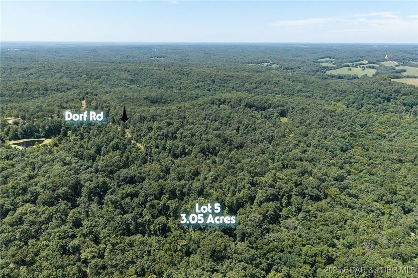 Excellent 3.05 acre tract (lot 5) located in Village of Forest - photo 2