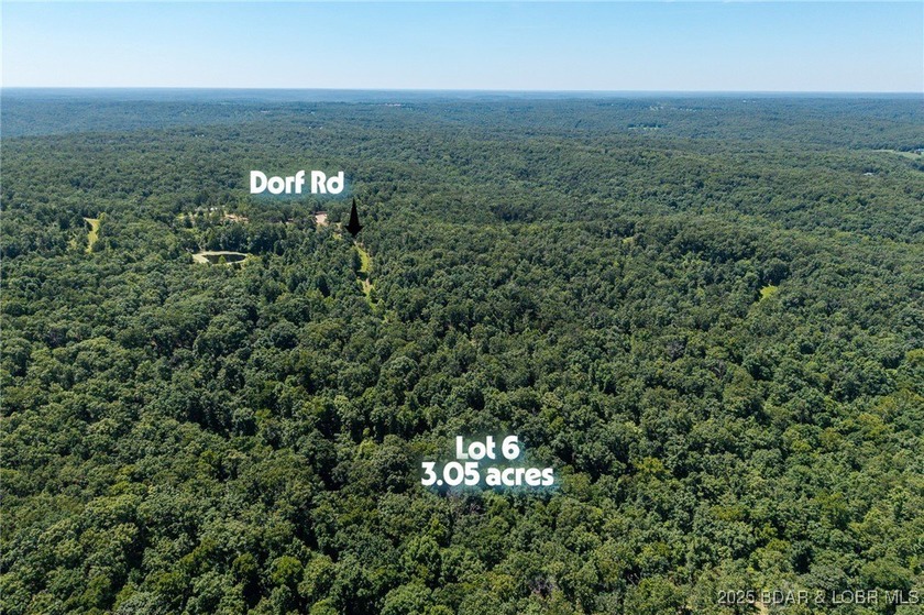 Excellent 3.05 acre tract (lot 6) located in Village of Forest - photo 2