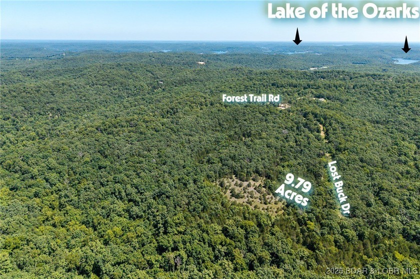 Two lots totaling 9.79 Acres. All lots have underground electric - photo 5