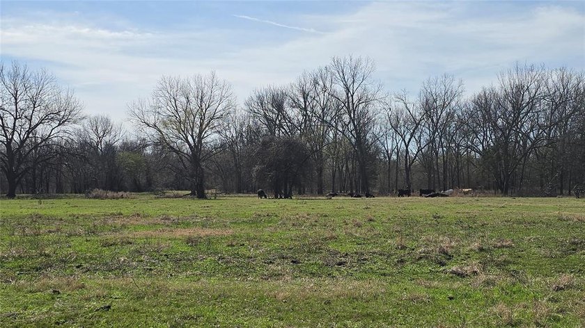 Approximately 107 acres MOL offered as two parcels sold together - photo 11