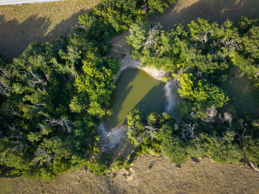 The Lewis Ranch is a rare legacy property, offered for sale for - photo 22