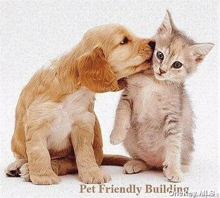 Welcome to River Gardens, Pet friendly building in the heart of - photo 25