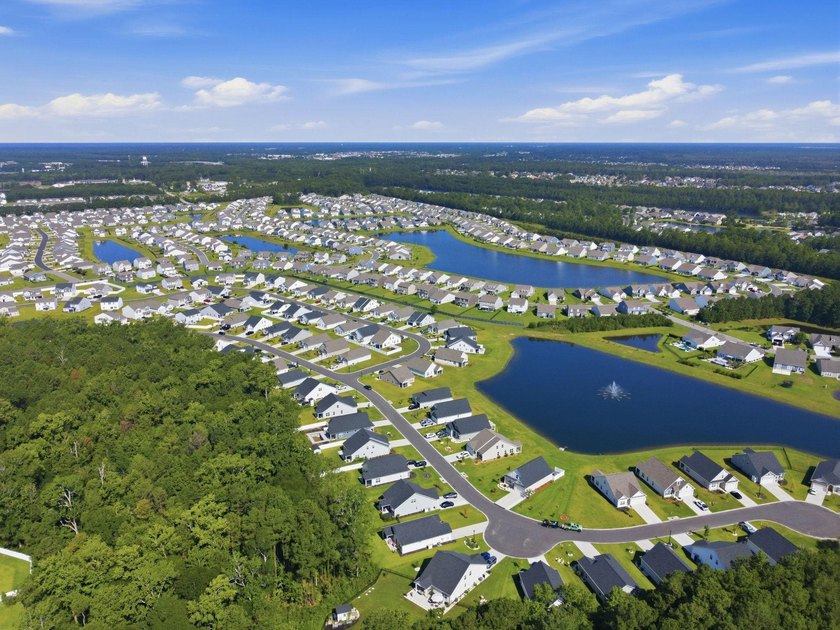 Built in 2024 on a private, wooded homesite with natural - photo 42