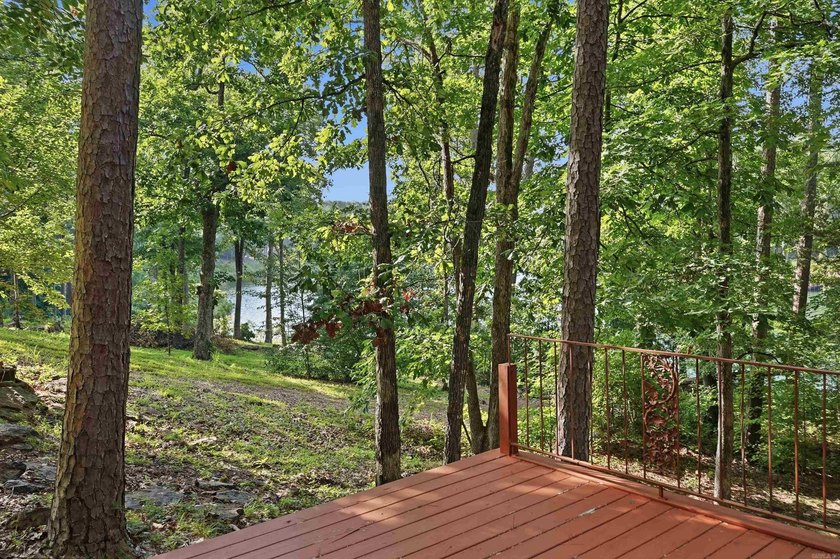 Bring your vision to this Greers Ferry Lake home on the - photo 11