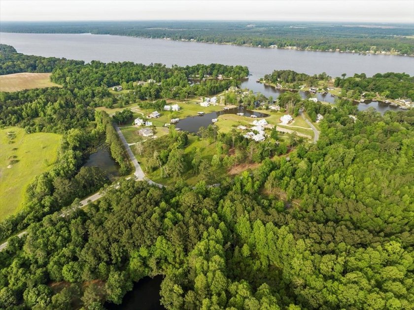 HUGE 2 acre lot (outlined in yellow in pictures) next one down - photo 13