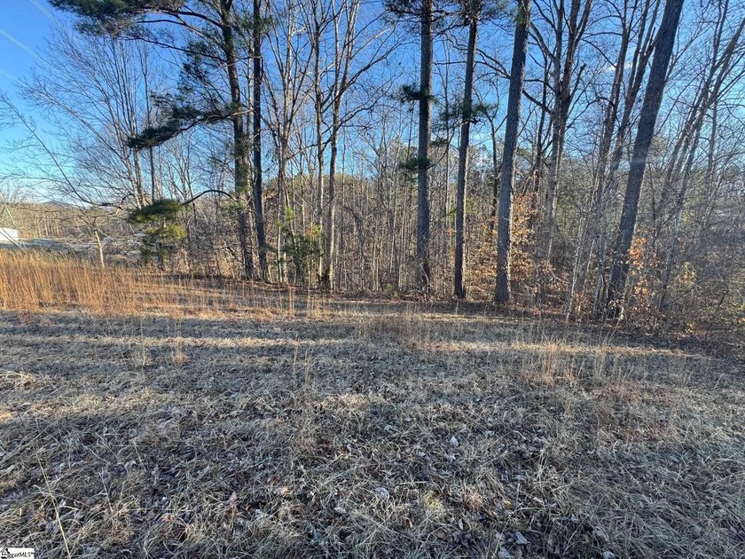 All property details and showings are handled directly by the - photo 6