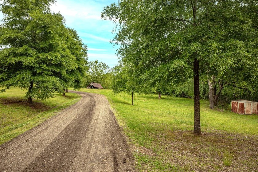 Private Hunting Retreat with Pond, Hardwood Timber &amp; Homesite - photo 2
