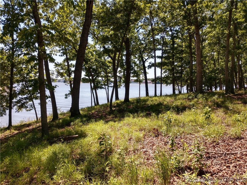 Discover an unparalleled opportunity to own a prestigious - photo 25