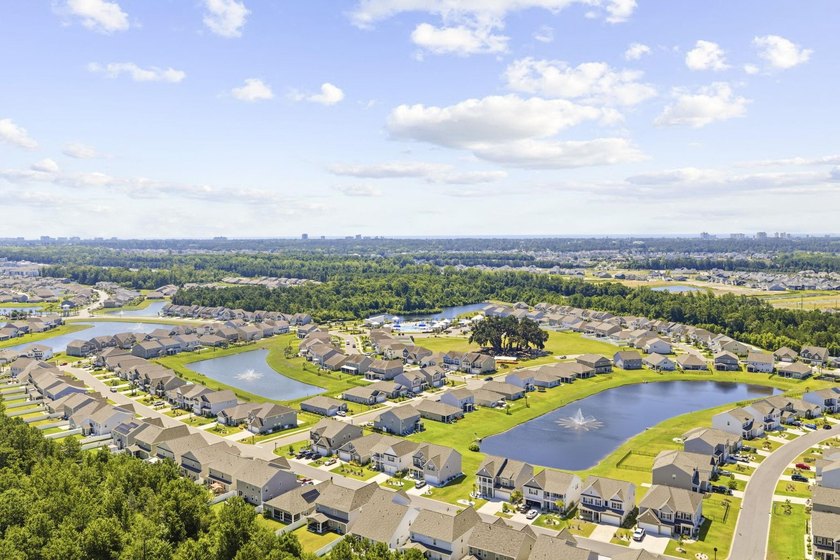 Move-In Ready in The Parks of Carolina Forest - Plus an - photo 43
