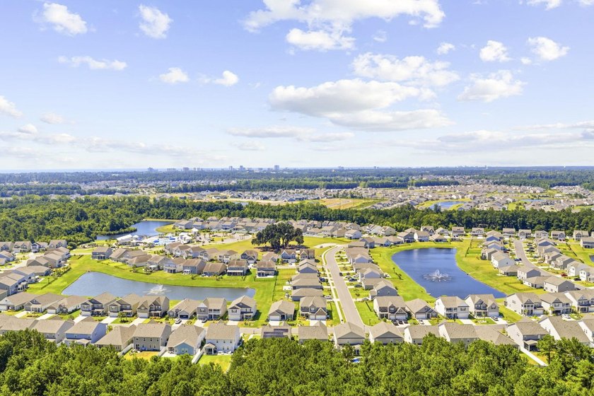 Move-In Ready in The Parks of Carolina Forest - Plus an - photo 45