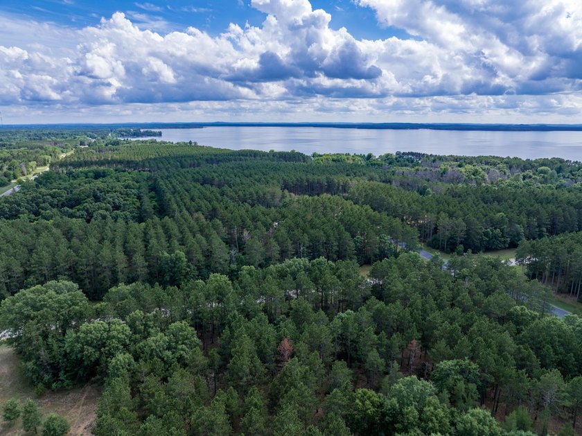 Build your Castle Rock Lake getaway on this 1.5-acre wooded lot - photo 13