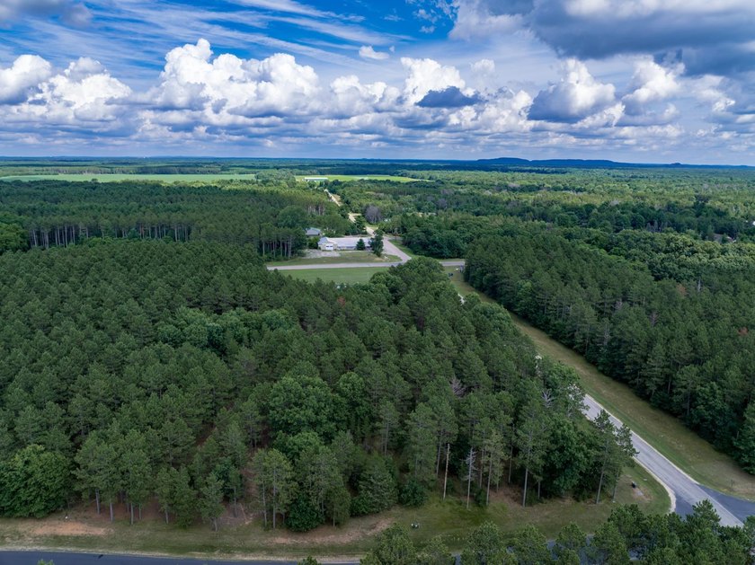 Build your Castle Rock Lake getaway on this 1.5-acre wooded lot - photo 15